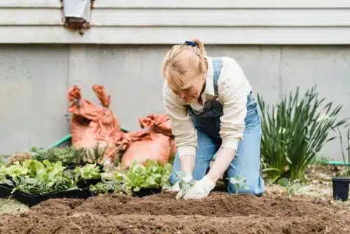 Aménagement du jardin pour les séniors : conseils pratiques et astuces