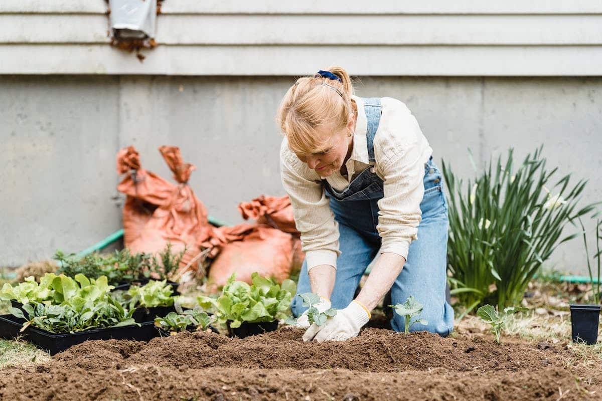 Aménagement du jardin pour les séniors : conseils pratiques et astuces