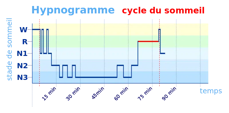 Comment définir le sommeil ?